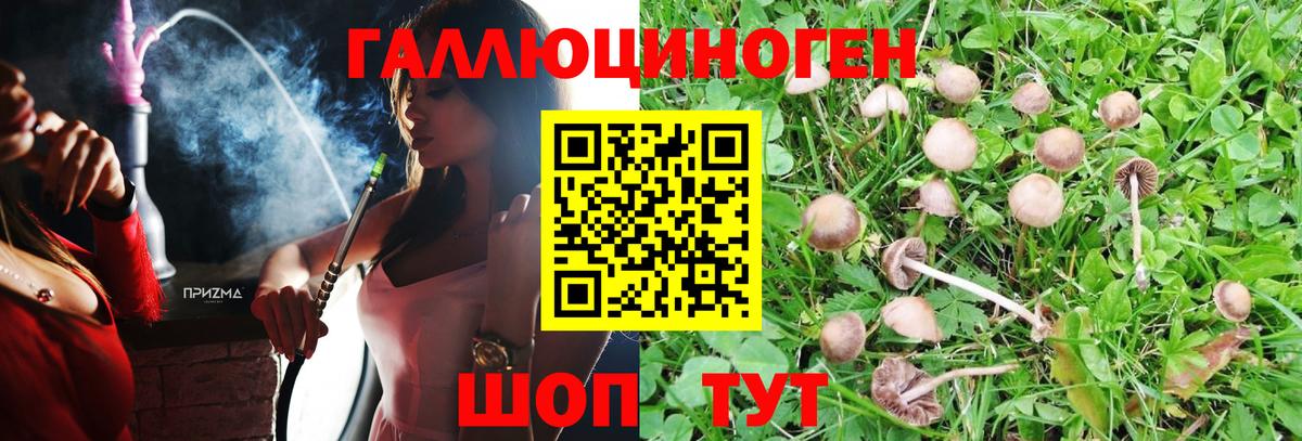 Псилоцибиновые грибы Magic Shrooms  Вход с VPN  Галлюциногенные грибы Magic Shrooms  Жуковский 